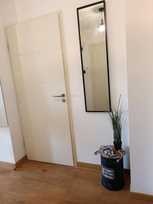 T3 Lumineux - Berges De La Garonne - Parking Apartment Toulouse Exterior foto